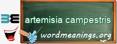 WordMeaning blackboard for artemisia campestris